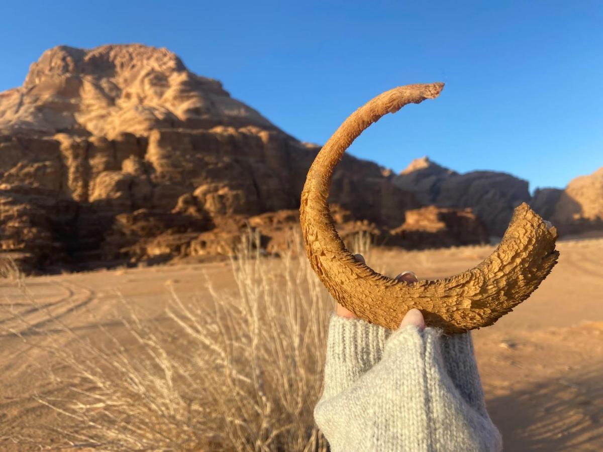 WadiRum Star Planet albasli Wadi Rum Exteriör bild