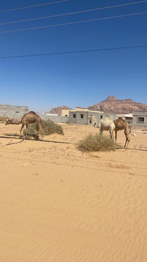 WadiRum Star Planet albasli Wadi Rum Exteriör bild